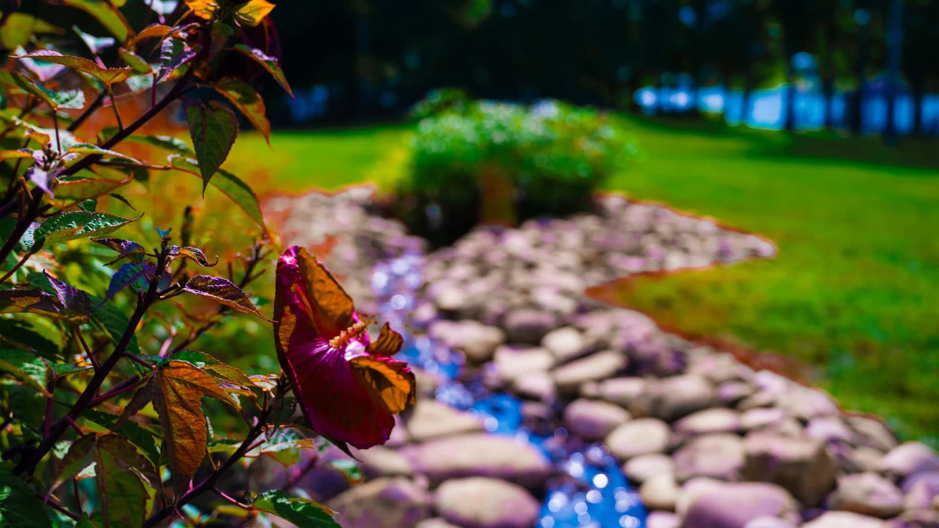 Landscaped Banner Image