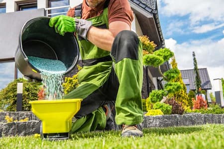 Why Lawn Fertilization is Essential