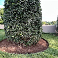 Luxury Estate Landscape Renovation Knoxville, TN 3