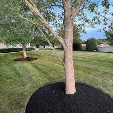 Luxury Estate Landscape Renovation Knoxville, TN 4